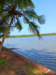 vue depuis le centre ayurvédique ayurserenity sur backwaters kerala