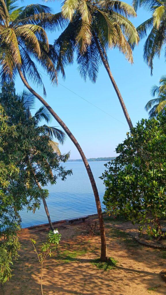 centre ayurvédique Ayurserenity, Inde, Kerala, paysage rivière