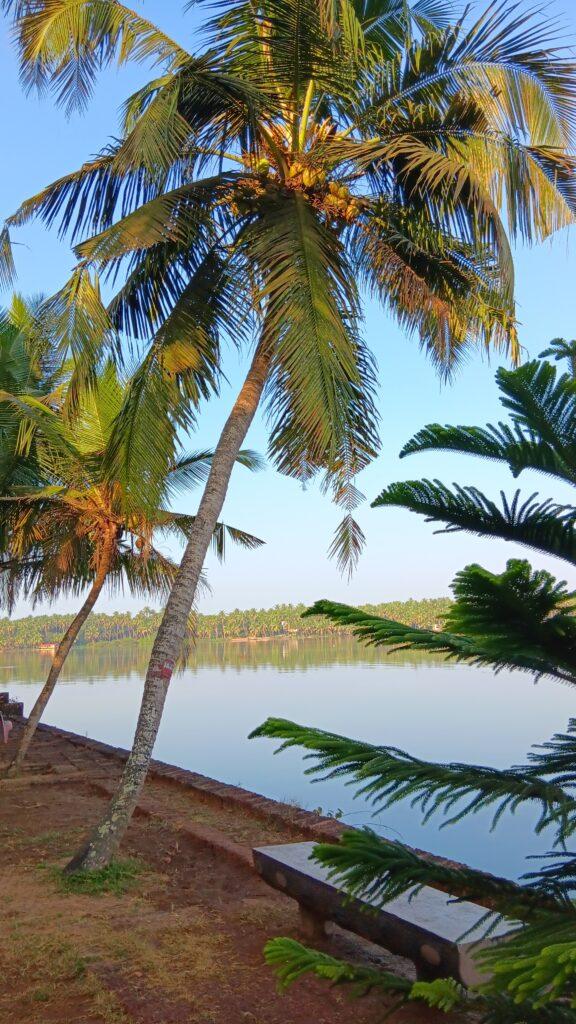 centre ayurvédique Ayurserenity, Inde, Kerala, vue depuis le centre ayurvédique sur la rivière