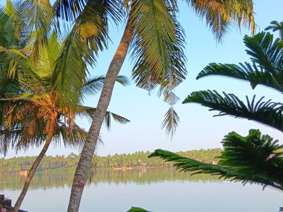 centre ayurvédique Ayurserenity, Inde, Kerala, vue depuis le centre ayurvédique sur la rivière