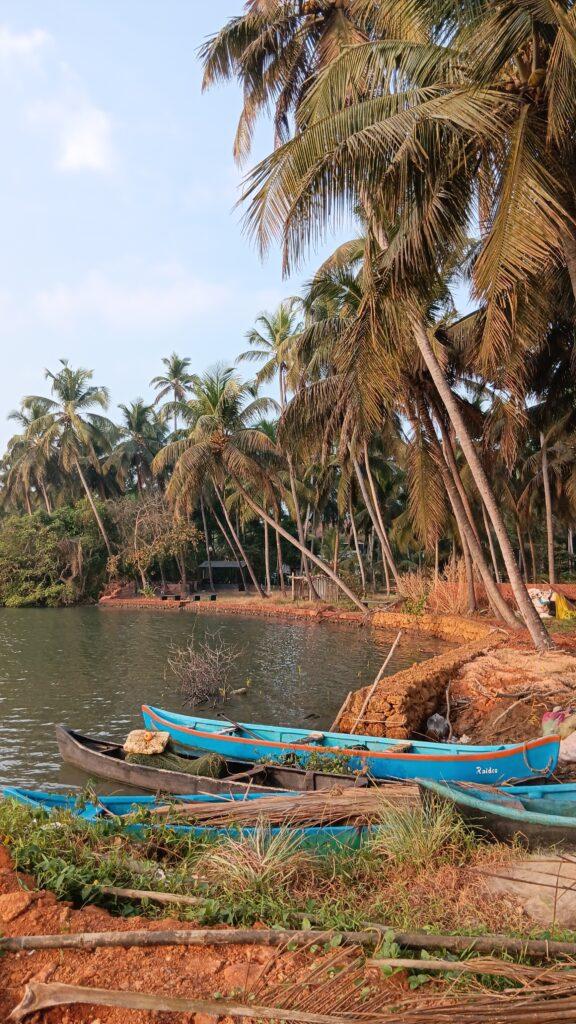 backwaters du kerala, centre de cure ayurvédique, inde