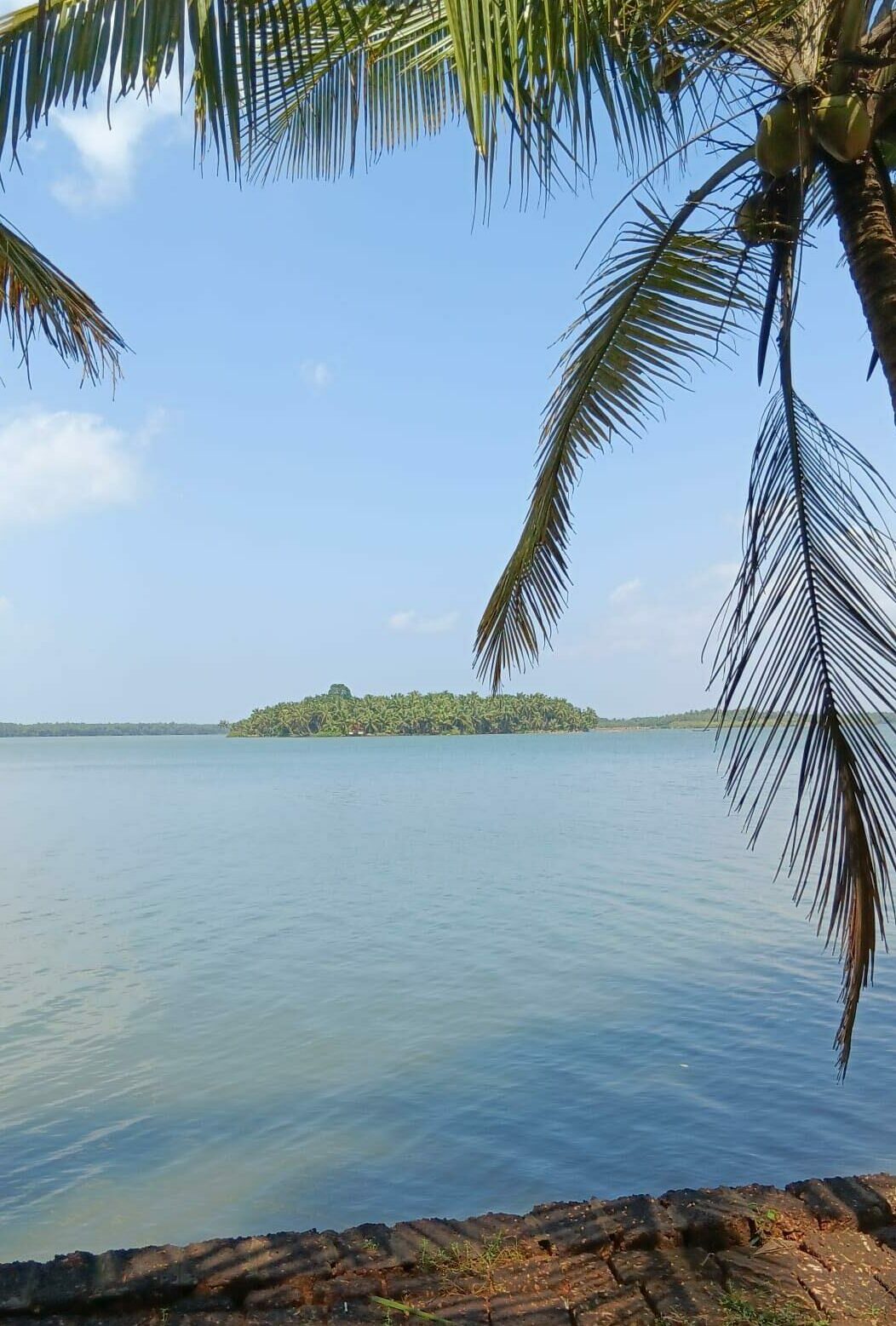 centre ayurvedique ayurserenity kerala, inde, rivière
