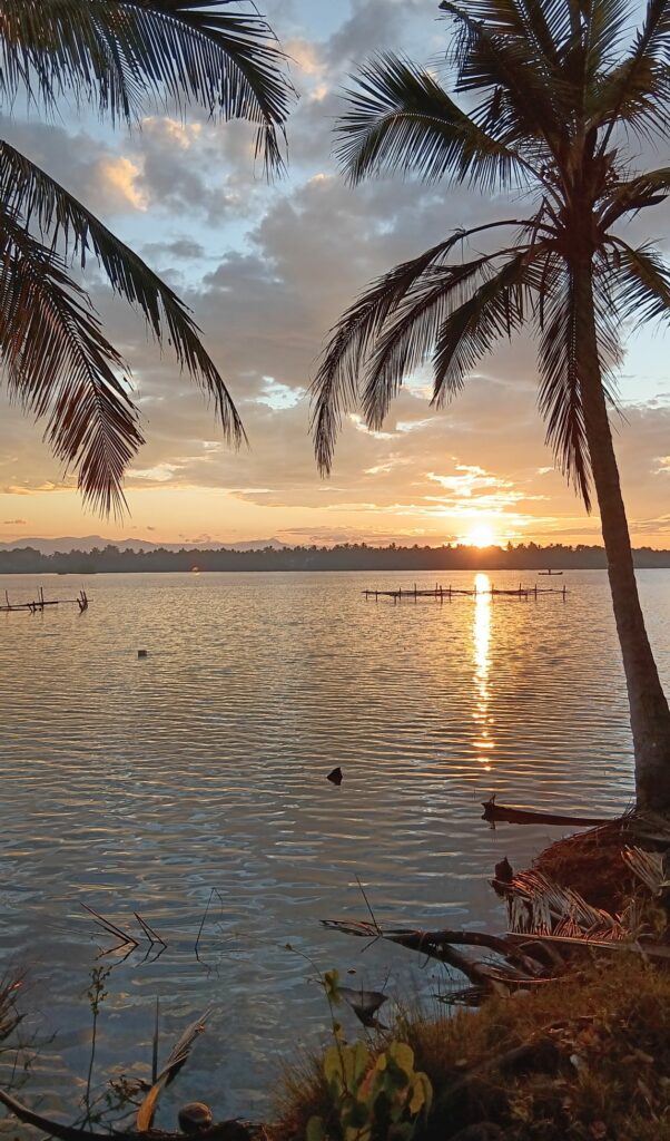 centre ayurvedique ayurserenity kerala, inde, rivière
