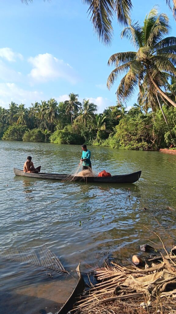 paysage kerala, inde, pecheurs, rivière