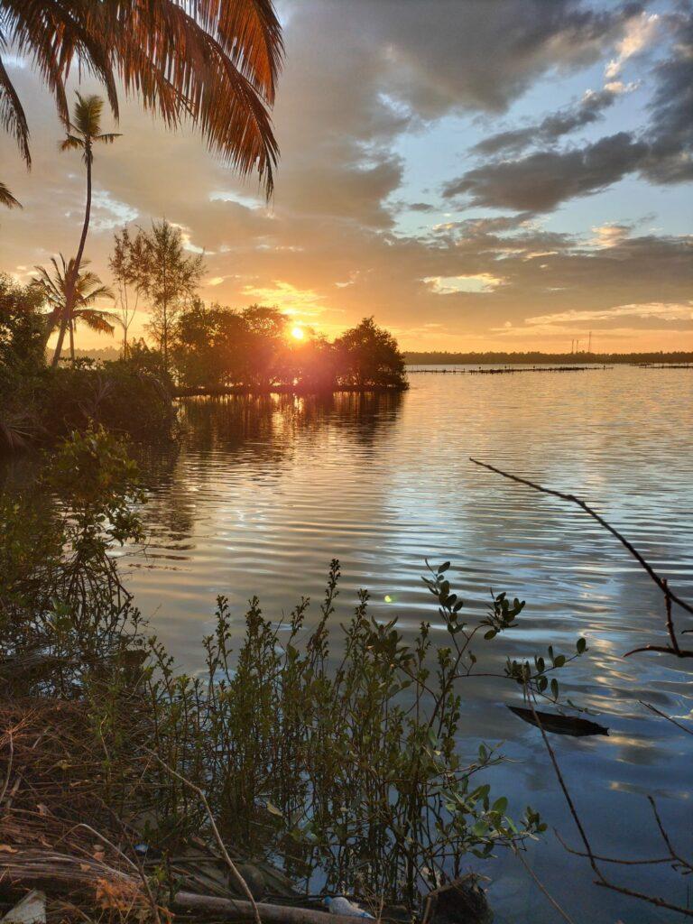 centre ayurvédique ayurserenity kerala, inde