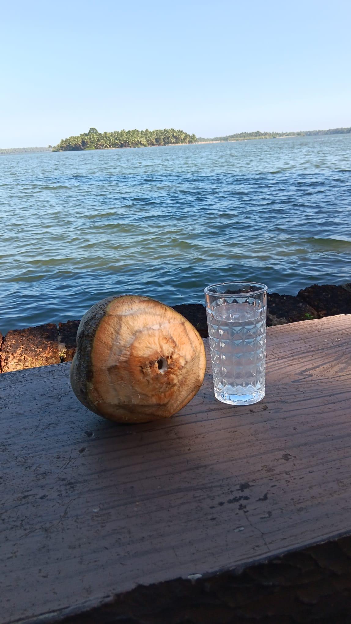 eau de coco devant la rivière, centre ayurvédique ayurserenity kerala, inde