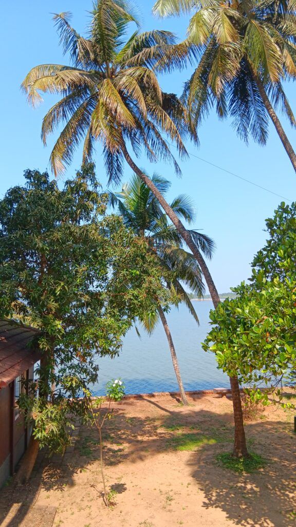 Vue sur les backwaters du Kerala, Inde depuis le centre ayurvédique AyurSerenity