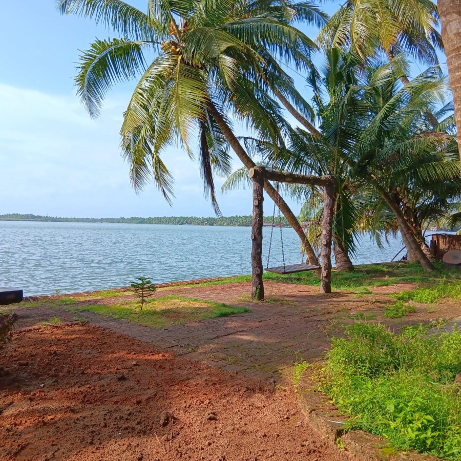 Vue sur les backwaters depuis le centre ayurvédique