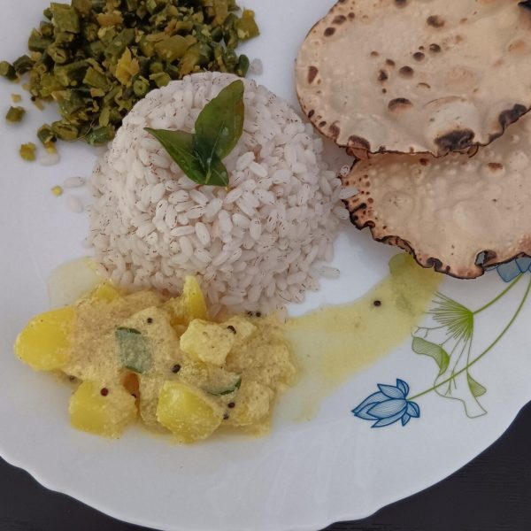 Repas ayurvédique (riz, papadam, légumes cuisinés)