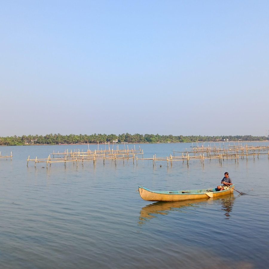 pêcheur sur les backwaters, centre ayurvédique kerala, inde, cure ayurvédique