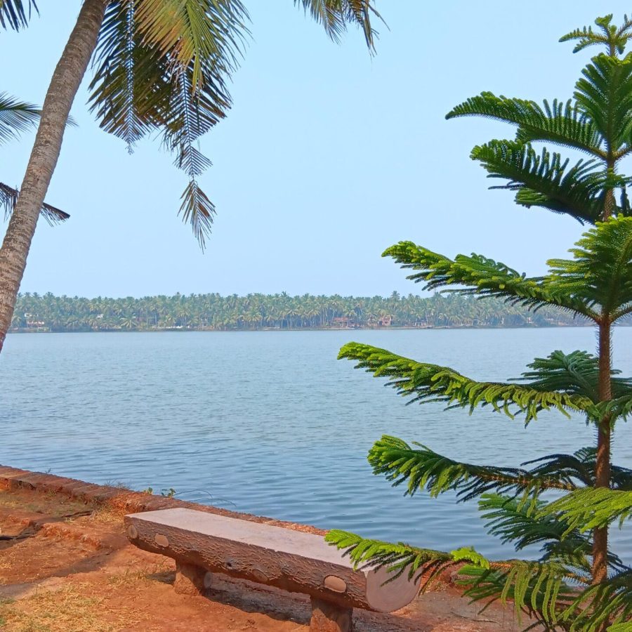 centre ayurvédique kerala, inde, cure ayurvédique