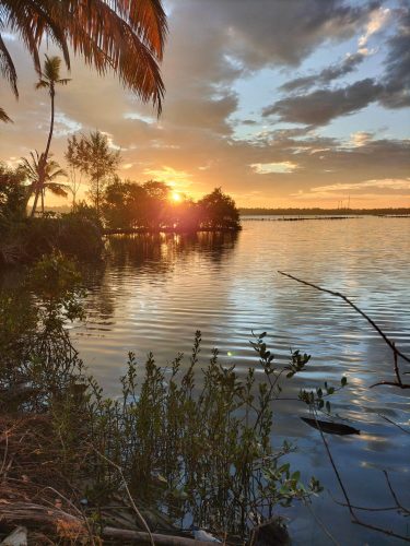 centre ayurvédique ayurserenity kerala, inde