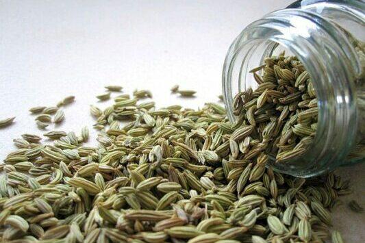 fenouil épice