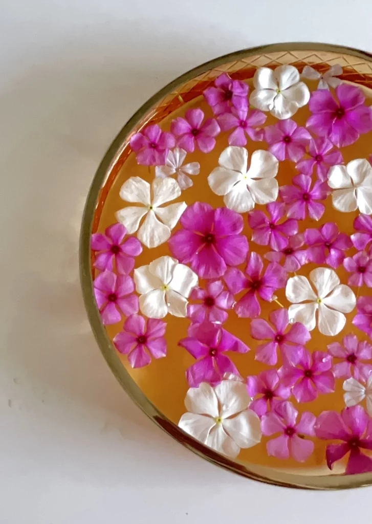 fleurs blanches et roses du Kerala, Inde