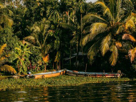 centre cure ayurvédique Kerala, Inde du Sud, backwaters