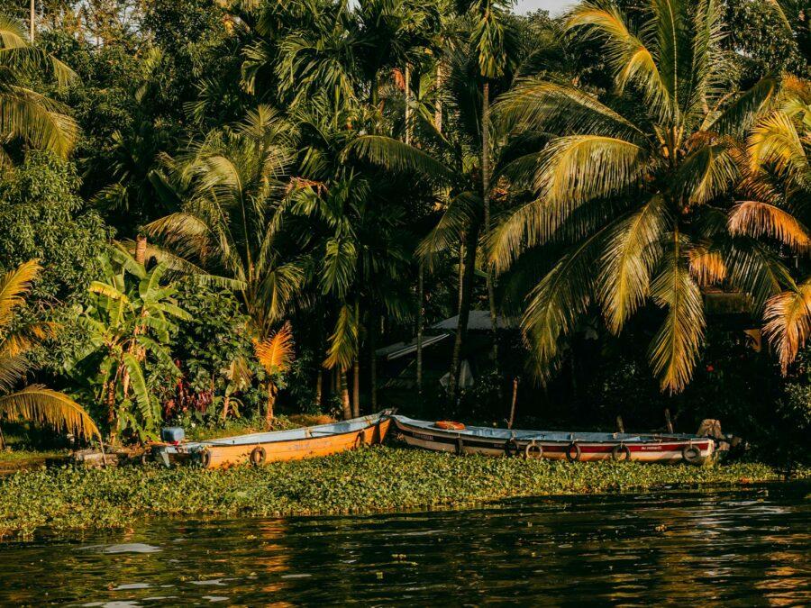 centre cure ayurvédique Kerala, Inde du Sud, backwaters